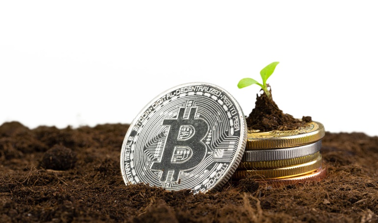 Bitcoin in the soil with a sprout emerging