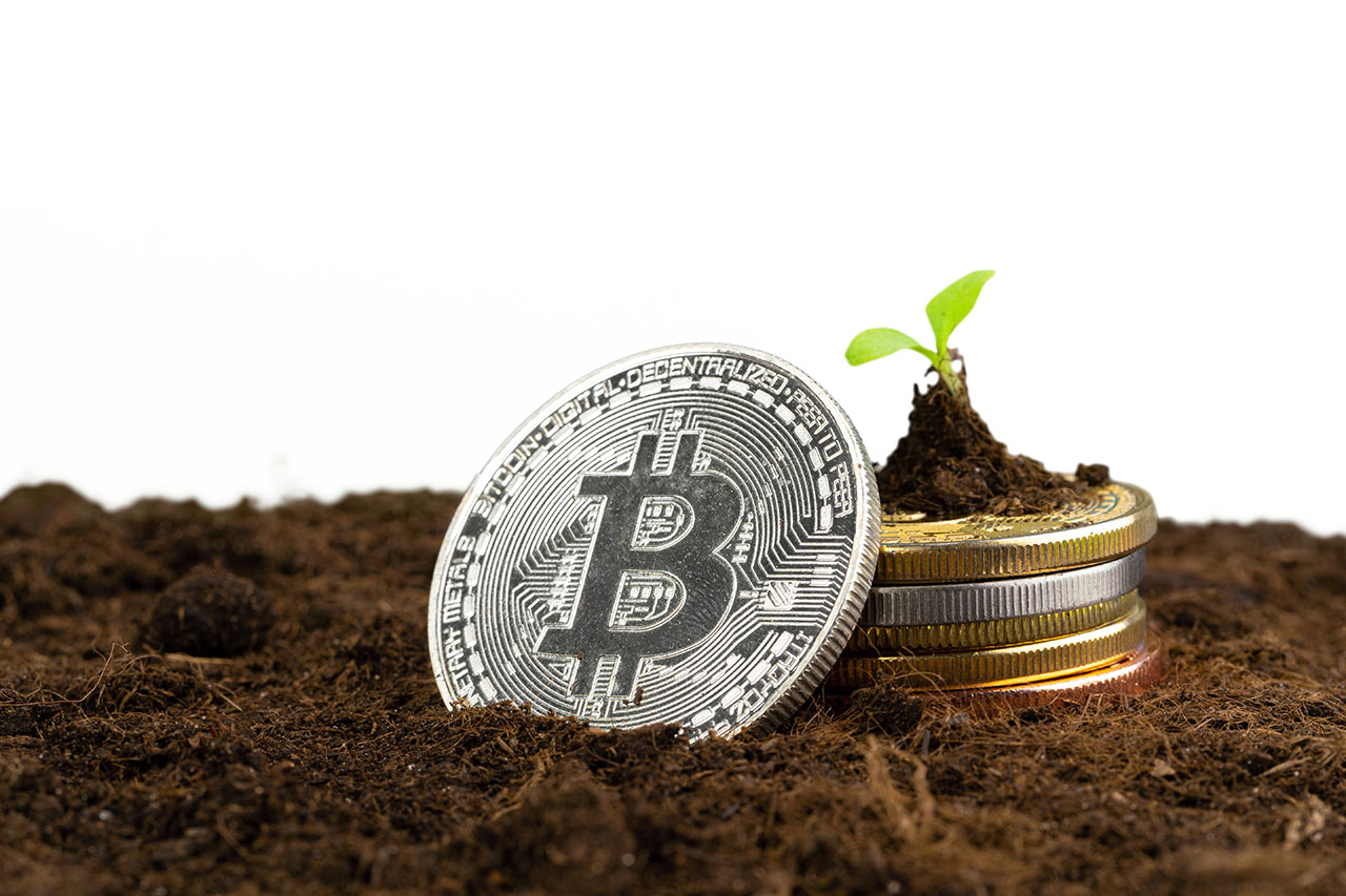 Bitcoin in the soil with a sprout emerging