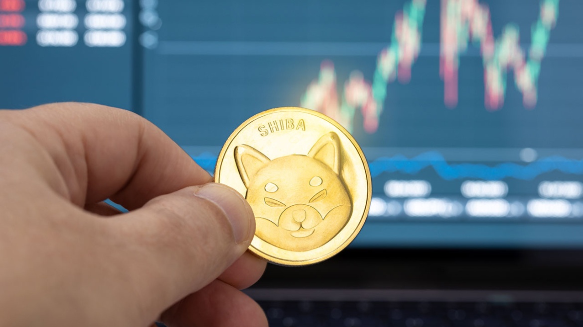 The Shiba Inu Coin | A Beginner’s Guide to the SHIB Cryptocurrency