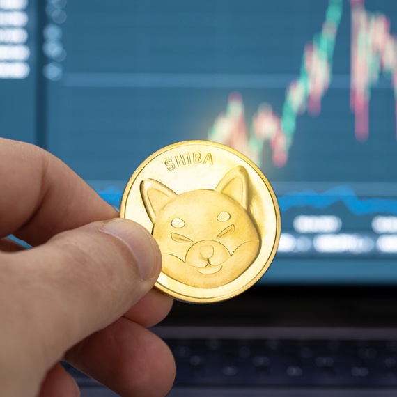 The Shiba Inu Coin | A Beginner’s Guide to the SHIB Cryptocurrency