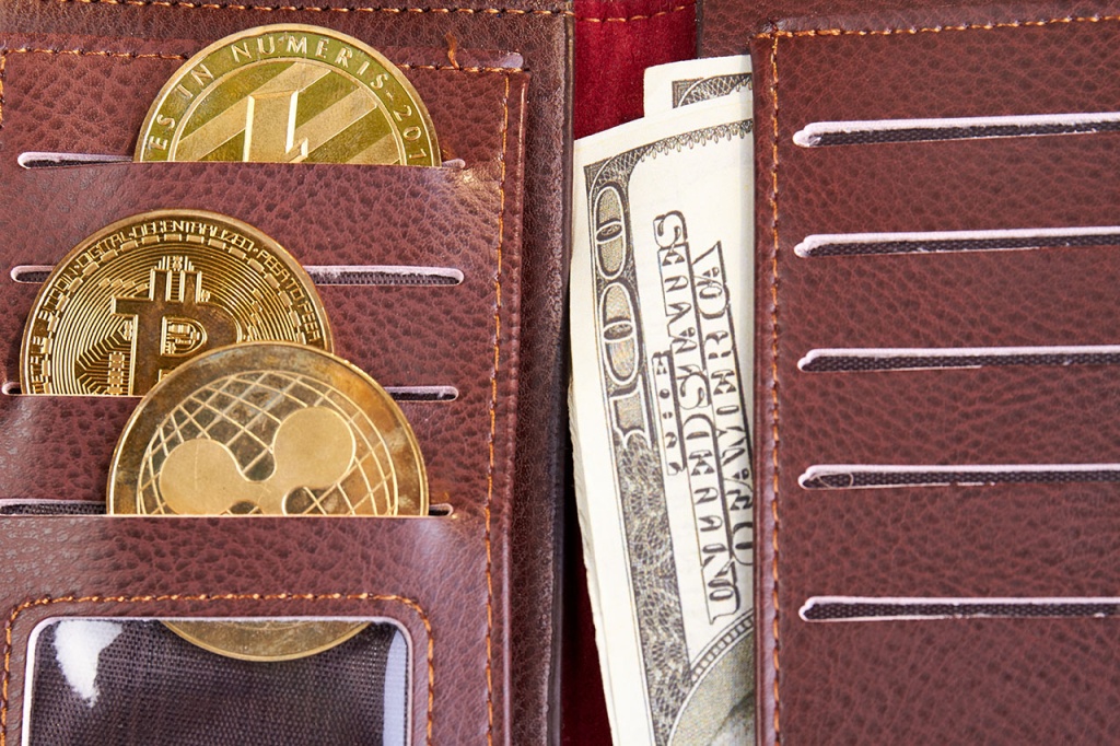 Cryptocurrency & Fiat Currency In a Wallet
